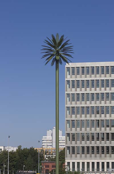 image of a artificial palm tree cell tower