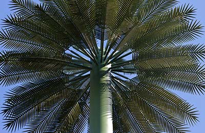 Cell Tower Palm