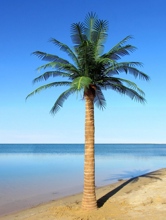 Image of an artificial palm tree