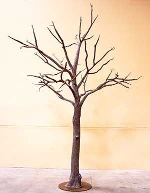 image of a fabricated leafless apple tree