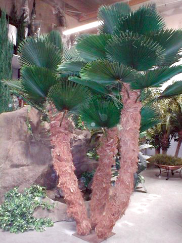image of a interior artificialcuban palm tree