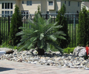 Image of fake palm trees